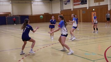 Bild 2 - Videos